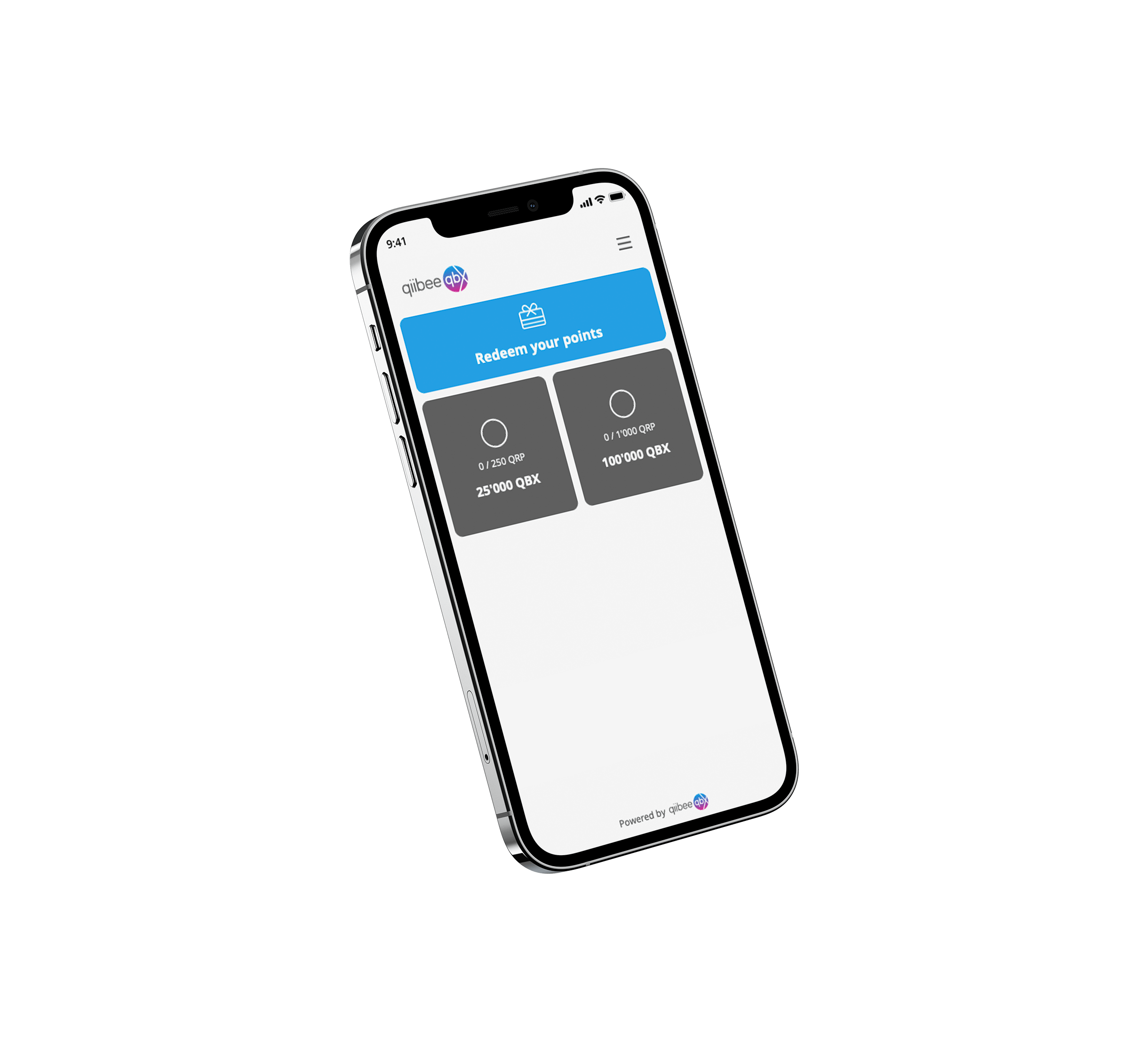 qb21-qap-screen-4 qAP - redeem qbx